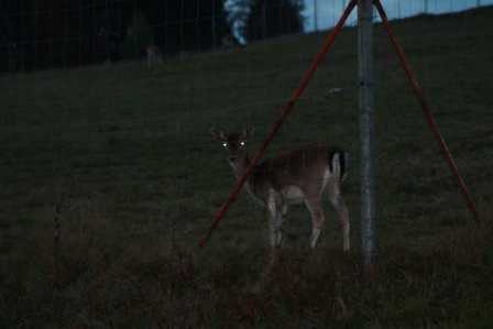 Einmal mehr ein gelungener Anlass